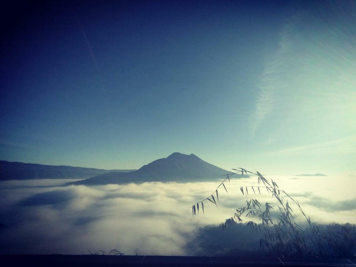 Batur View Homestay Kintamani  Exterior photo